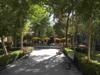 International Summer School: 2017